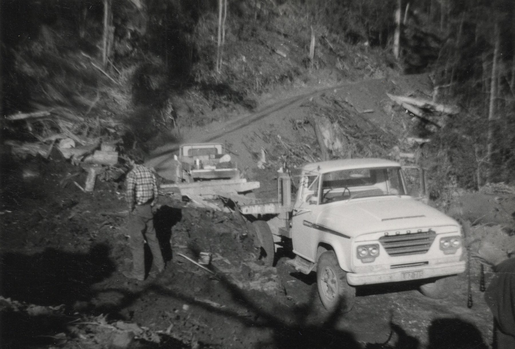 Paired dozers chain-clearing, Buffalo River area, or an Alpine Ash felling crew, late 1960s